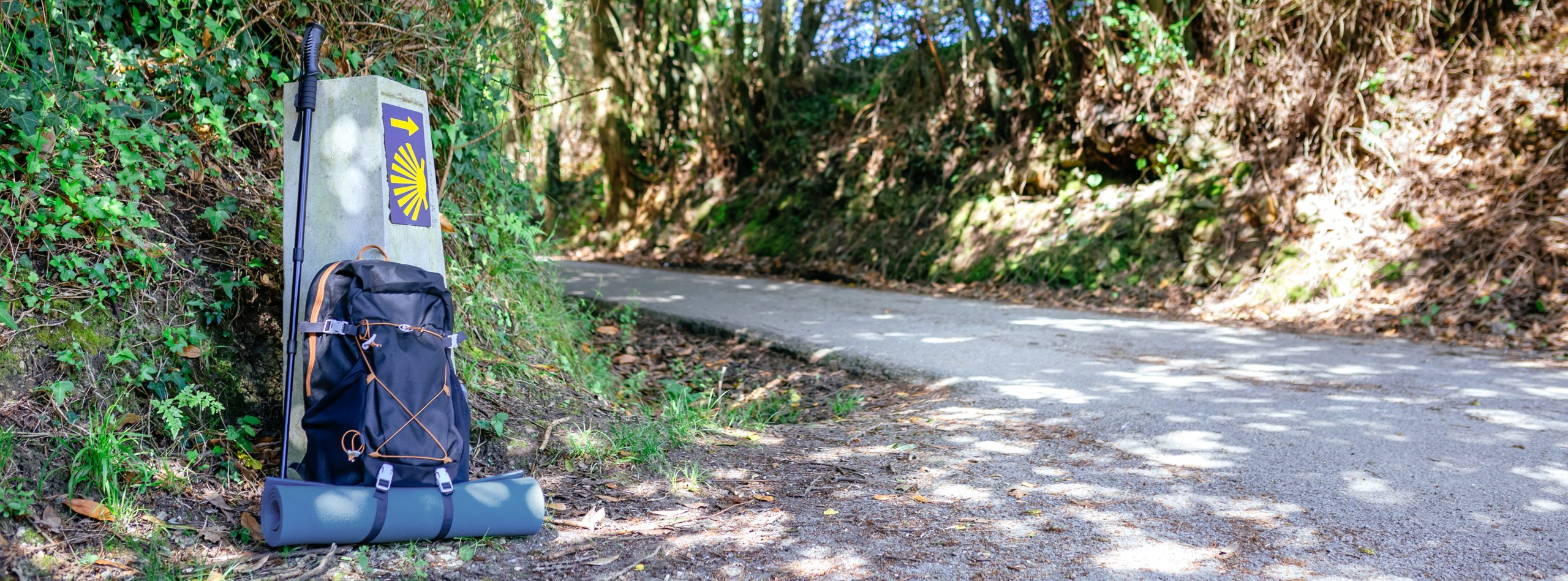 Emprendiendo en los Senderos del Verde Galicia: Innovación al Ritmo de la Naturaleza